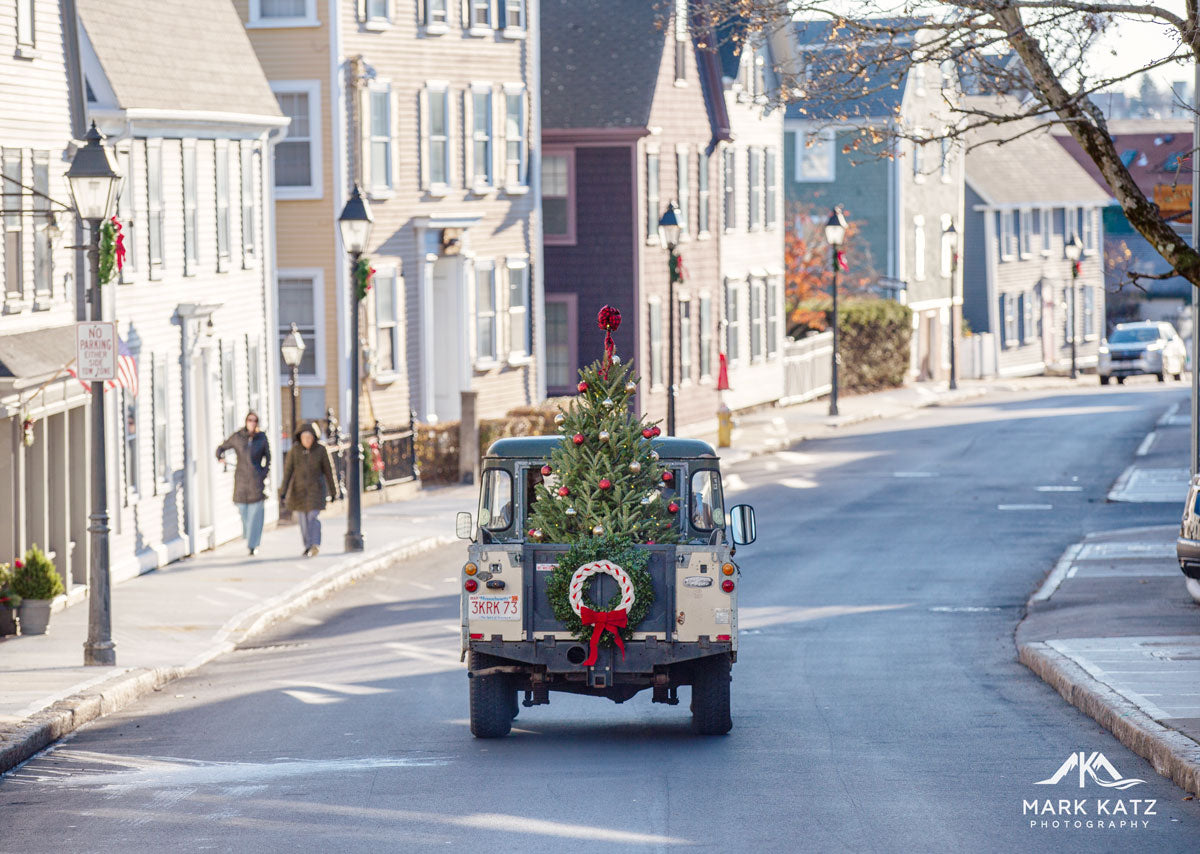 First Harbor Truck and Tree