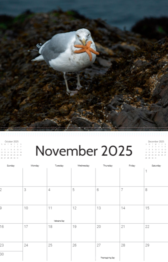 2025 Marblehead Calendar